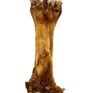 Big Bone
