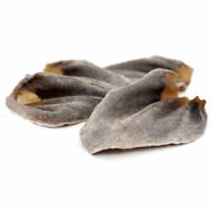 OREJA DE RES